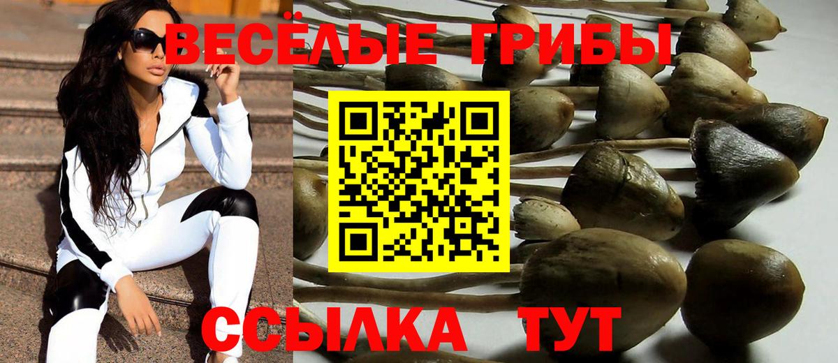 Псилоцибиновые грибы Psilocybine cubensis  Вход с VPN  Ахтубинск 