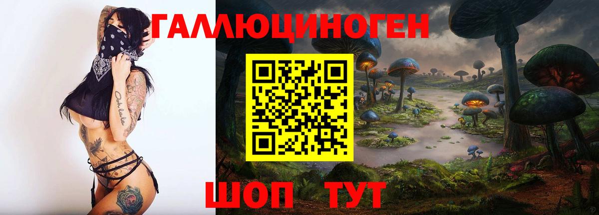 Псилоцибиновые грибы Psilocybe Ахтубинск