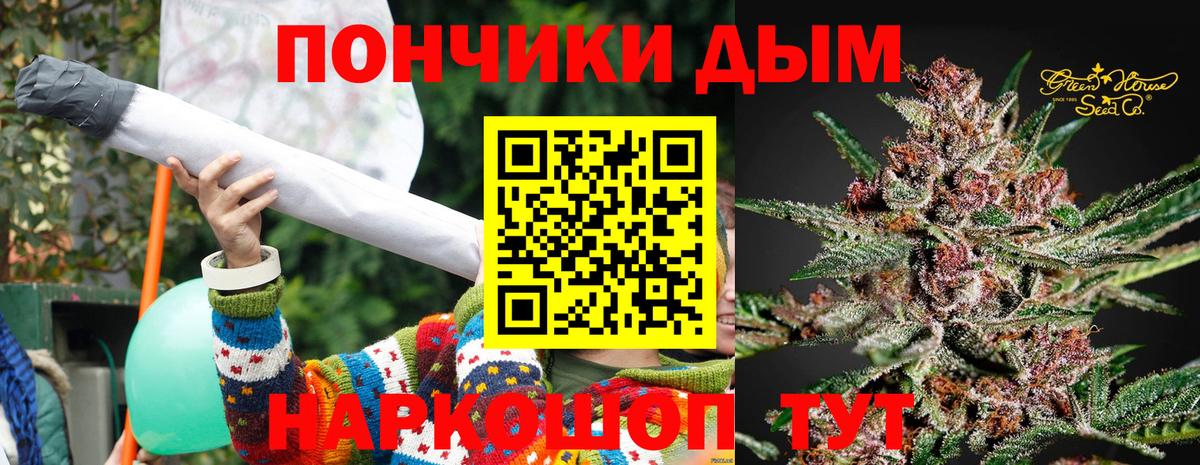Каннабис SATIVA & INDICA  Марихуана план  Вход с VPN  Ахтубинск  Канабис VHQ 